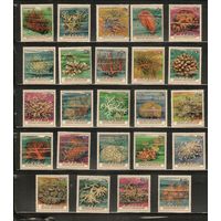 Кука острова-1984(Мих.978-1001) , ** , Морская фауна, Кораллы (полная серия)