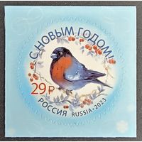 Россия. С Новым годом. 2023 г.
