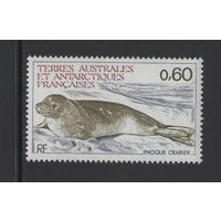 ТААФ Французские Антарктические Территории 1984** Тюлень Mi#184