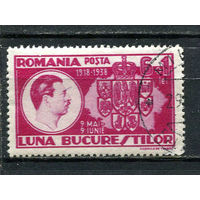 Королевство Румыния - 1938 - 50-летие объединения румынских провинций Королевства Румыния. Выставка в Бухаресте - [Mi. 552] - полная серия - 1 марка. Гашеная.  (Лот 90Gx)-T4P2