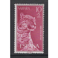 Испанская Сахара 1960**  Фауна Хищные кошки Леопард