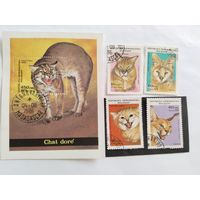 Мадагаскар  1986 4 м+бл.  коты