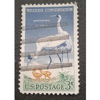 Лот 236 США (1957) Охрана дикой природы US721