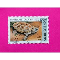 Того. Фауна. ( 1 марка ) 1996 года. 2-15.