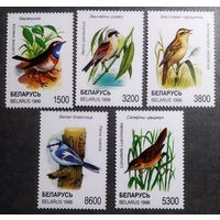 Марки Беларусь 1998 год Птицы