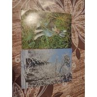 Календарики,1990