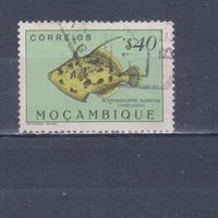 [886] Португальский Мозамбик 1951. Фауна.Рыба.0,40 э. Гашеная марка.