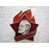 Пионерский значок, пионер.