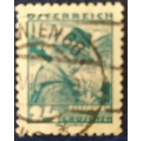 Австрия 1934 лесничий 1 из 20.