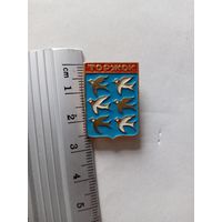 Значок Торжок