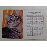 Карманный календарик. Котик.1992 год