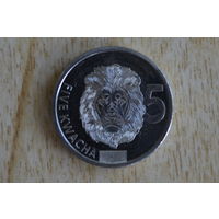 Замбия 5 квач 2024