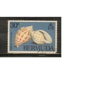 Бермуды-1982(Мих.410) , гаш. , Морская  Фауна,   Раковины