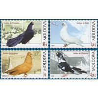 Молдова 2012.  Птицы  голуби 4 марки (456)