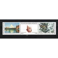 Россия 1992,150 лет Верещагину, Mi 0,52, Р062