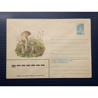 СССР 1979 ХМК худ.Игнатьев. Подберезовик.(1)