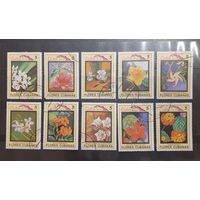 Куба. 1983 год. Флора. Цветы (245)