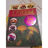 Книга Грибы справочник