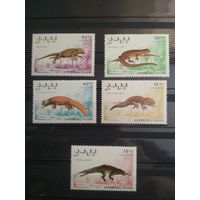 Сахара 1991 г. Рептилии.
