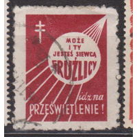 Медицина Польша 1948 год купон из серии "Борьба с туберкулезом"   лот 8