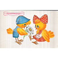 Подписанная открытка 1991г. "Поздравляю! Цыплята" худ. И. Макарова