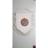 Вымпел министерство спорта и туризма Республики Беларусь