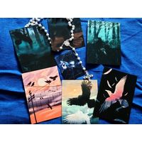 Набор открыток