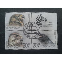 1990. Фонд помощи зоопаркам, квартблок