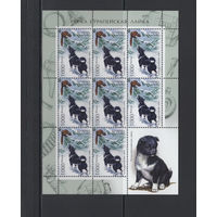 Фауна собаки Беларусь 2010 Малый лист коллекционных марок "Русско-европейская лайка"