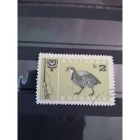 Болгария 1967 фауна