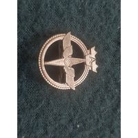 Значок ВВС Швеции