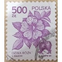 Польша 1989. Флора. Дикая роза