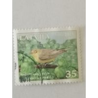 Птицы Латвии - Зеленая пересмешка (Hippolais icterina L.)