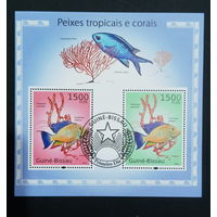 ФАУНА РЫБЫ МОРСКИЕ ОБИТАТЕЛИ    БЛОК  сто