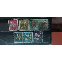 РАСПРОДАЖА НОВАЯ ЗЕЛАНДИЯ 1960г. Гаш.