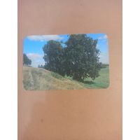 Календарь 1989/4