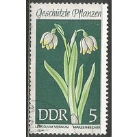 ГДР. Цветы. Белоцветник весенний. 1969г. Mi#1457.