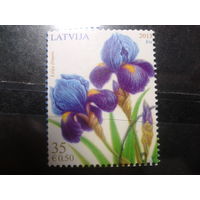 Латвия, 2013. Ирисы