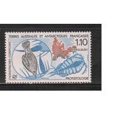 Французские Антарктические Территории-1990(Мих.259) , ** , Морская Фауна,(одиночка)