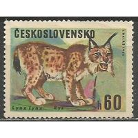 Чехословакия. Рысь обыкновенная. 1966г. Mi#1663.