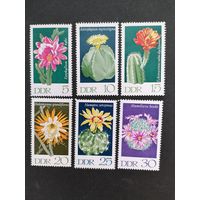 ГДР 1970 Полная серия марок "Кактусы" (чистые**) Mi.1625-1630 каталог 3.00 евро