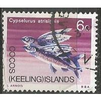 Кокосовые острова. Летающая рыба. 1969г. Mi#13.