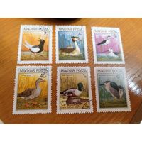 1980 Венгрия фауна птицы (5-8)