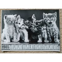 Котята. Фотокалендарь 24х17 см