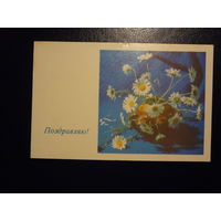 Поздравляю!  Ромашки. 1970 г.  подписанная.