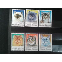 Гвинея Бисау, 1985. Домашние кошки