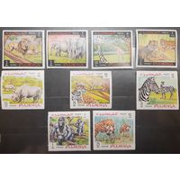 Фуджейра. Фауна (615)