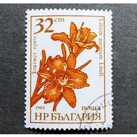 Марка Болгария 1985 год Цветы