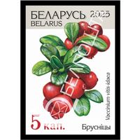 Беларусь 2025г 18-й стандартный выпуск. Бруснiцы (самокл. )MNH