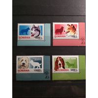 Румыния 2001 г. Собаки.
